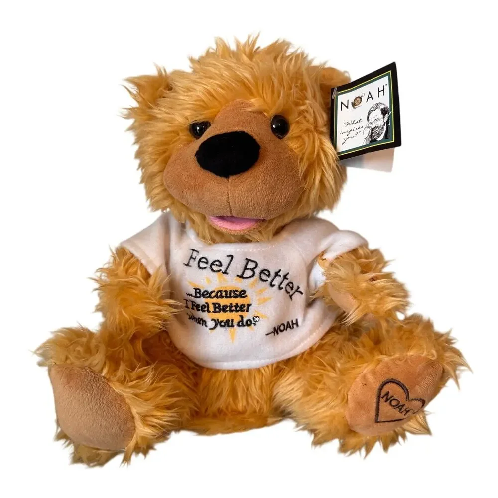 NWT Poet Noah BenShea Feel Better Bear PBC International Animated Talking Gift
